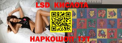 тгк Краснодар