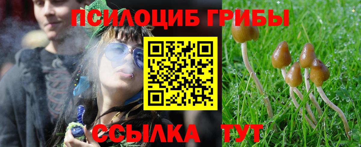 Галлюциногенные грибы Cubensis Карталы