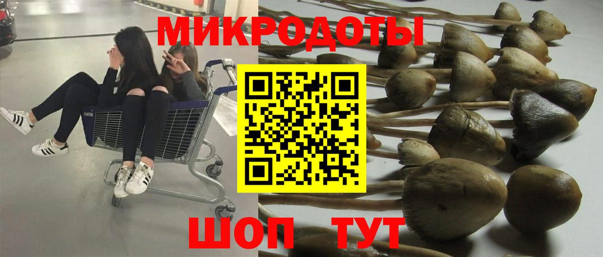 Галлюциногенные грибы Psilocybine cubensis  Псилоцибиновые грибы Psilocybe  Карталы  Вход с VPN 